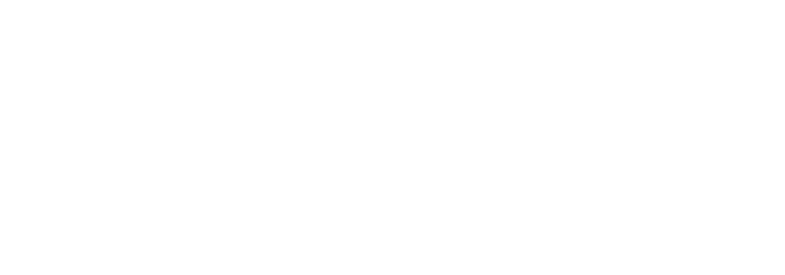 New Job Group, Top Partner Ranocchi